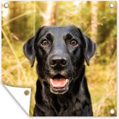 Tuinposters Gelukkige zwarte hond - 50x50 cm - Tuindoek - Buitenposter