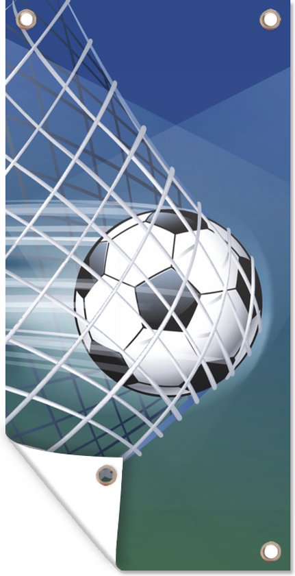 Een voetbal in het net