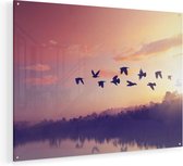 Artaza Glasschilderij - Silhouet Vogels Tijdens Zonsondergang - 80x60 - Plexiglas Schilderij - Foto op Glas