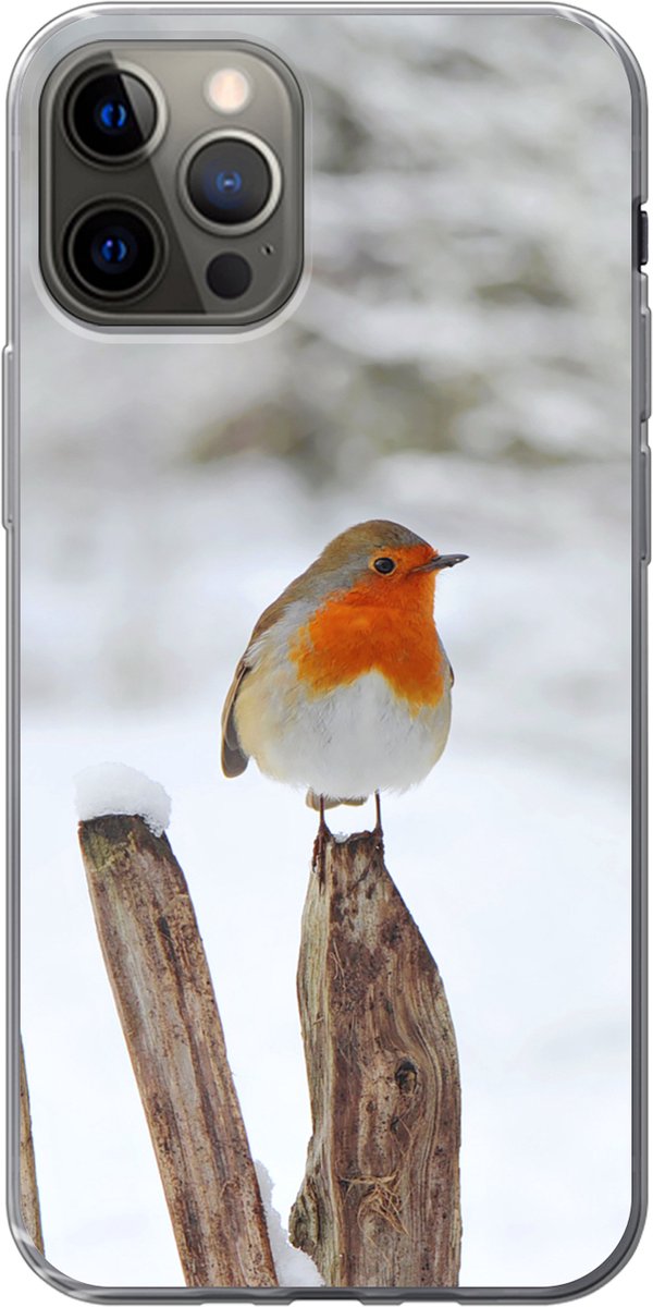 Telefoonhoesje Geschikt voor iPhone 12 Pro hoesje - Vogel - Hek - Sneeuw - Siliconen Telefoonhoesje Telefoonhoesje