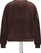 Hunkemöller Dames Nachtmode Top Velours lange mouwen  - Bruin - maat XS
