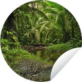 Tuincirkel Colombia - Jungle - Planten - 150x150 cm - Ronde Tuinposter - Buiten