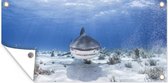 Wanddecoratie buiten Aanzwemmende haai - 160x80 cm - Tuindoek - Buitenposter