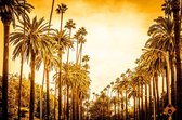 Palm road – 120cm x 80cm - Fotokunst op PlexiglasⓇ incl. certificaat & garantie.