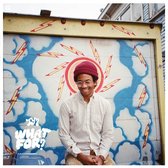 Toro Y Moi - What For? (LP)