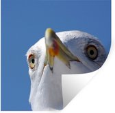 Stickers Stickers muraux - Mouette - Vogel - Blauw - 80x80 cm - Feuille adhésive