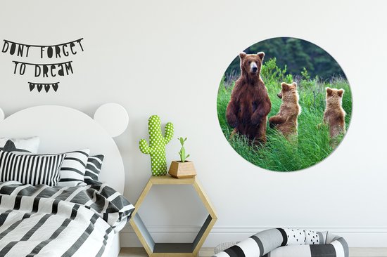 WallCircle - Wall Circle - Wall Circle Indoor - Ours Réveillé - 90x90 cm - Décoration murale - Peintures Ronds