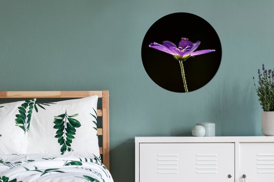 WallCircle - Stickers muraux - Cercle de papier peint - Un géranium violet sur fond noir - 80x80 cm - Cercle mural - Autocollant - Sticker papier peint rond