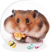 WallCircle - Wandcirkel ⌀ 30 - Hamster eet kleurrijk voedsel - Ronde schilderijen woonkamer - Wandbord rond - Muurdecoratie cirkel - Kamer decoratie binnen - Wanddecoratie muurcirkel - Woonaccessoires