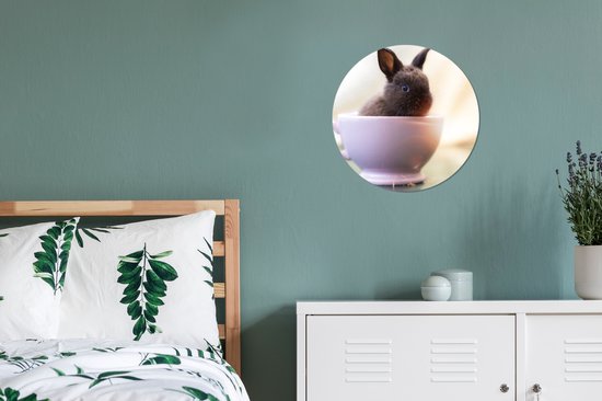Cercle Mural - Cercle Mural Intérieur - Lapin - Bébé - Tasse à Thé - ⌀ 30 cm - Décoration murale - Peintures Ronds