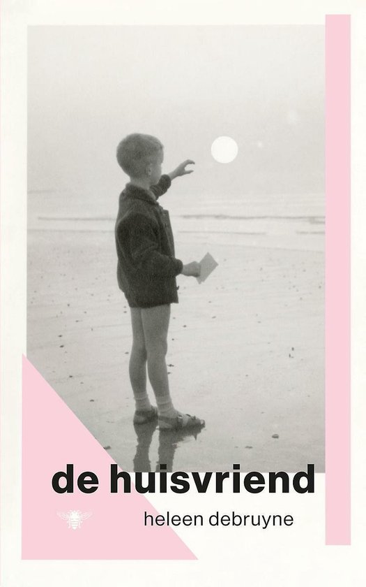 Boek cover De huisvriend van Heleen Debruyne