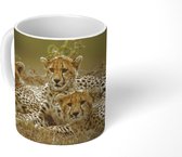 Mok - Jonge cheetah welpen - 350 ML - Beker