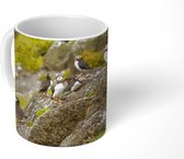 Mok - Koffiemok - Atlantische papegaaiduikers aan Schotse kust - Mokken - 350 ML - Beker - Koffiemokken - Theemok