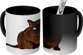 Magische Mok - Foto op Warmte Mok - Donkere Burmees kat - 350 ML