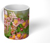 Mok - Roze en oranje Alstroemeria's - 350 ML - Beker