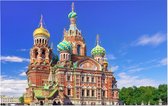 De Kerk van de Verlosser op het Bloed in Sint-Petersburg - Foto op Forex - 60 x 40 cm