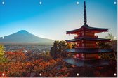 Mount Fuji gezien vanaf de Chureito Pagoda in Kawaguchiko - Foto op Tuinposter - 60 x 40 cm