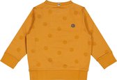 Vingino Daley Blind baby jongens sweater Nassor Sandstone Orange
