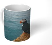 Mok - IJsland - Papegaai - Water - 350 ML - Beker