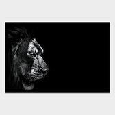 Artistic Lab Poster - Dark Lion - 250 X 160 Cm - Multicolor