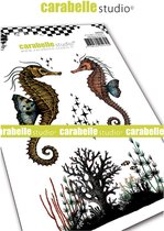 Carabelle Studio Cling stamp - A6 hippocampes