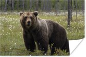 Bruine beer in het bos Poster 60x40 cm - Foto print op Poster (wanddecoratie woonkamer / slaapkamer) / Wilde dieren Poster