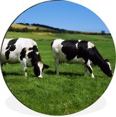WallCircle - Cercle Mural - Cercle Mural - Vaches - Animaux - Herbe - Aluminium - Dibond - 90x90 cm - Intérieur et Extérieur
