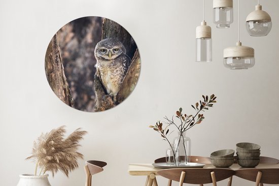 WallCircle - Stickers muraux - Cercle de papier peint - Chouette - Arbre - Forêt - 100x100 cm - Cercle mural - Autocollant - Papier peint autocollant rond XXL
