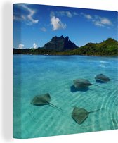 Canvas Schilderij Pijlstaartroggen zwemmen in de wateren rondom Bora Bora - 20x20 cm - Wanddecoratie
