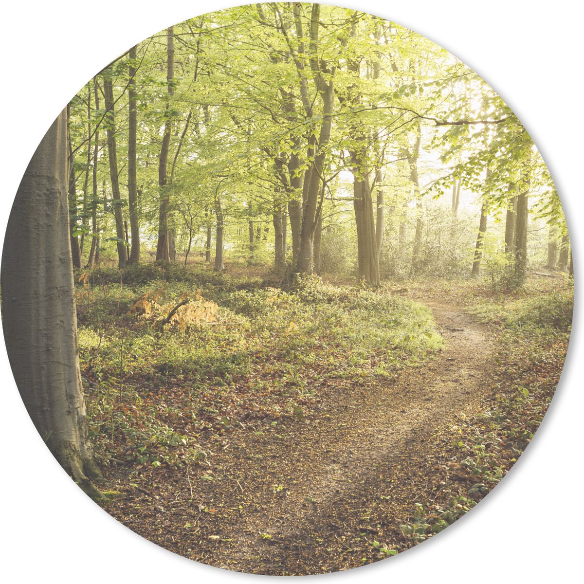 Muismat rond 40x40 cm - Mousepad Bos - Pad - Zonsopgang - Ronde muismatten