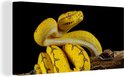 Image du produit 18