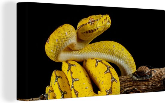Tableau Peinture Serpent - Branche - Jaune - 160x80 cm - Décoration murale