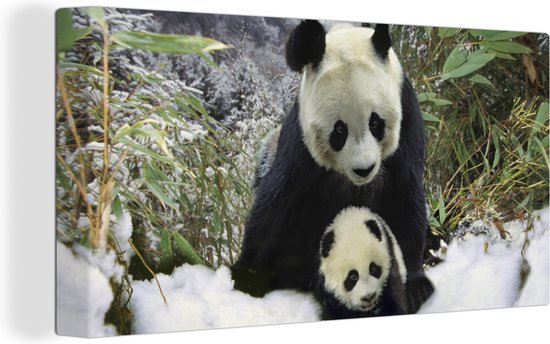 Peinture sur toile Panda - Ourson - Neige - 80x40 cm - Décoration murale