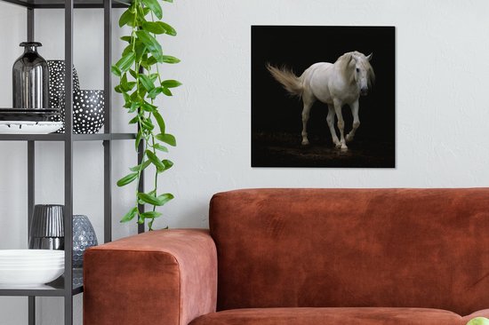 Cheval Wit devant une toile fond noir 2cm 50x50 cm - impression photo sur toile peinture Décoration murale salon / chambre à coucher) / Animaux sauvages Peintures Toile