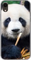 Geschikt voor iPhone XR hoesje - Panda - Bamboe - Natuur - Siliconen Telefoonhoesje