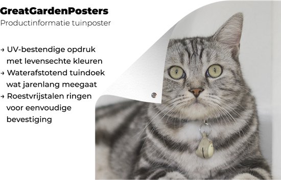 Décoration murale murale extérieure Chat - Grijs - Animal - 80x160 cm