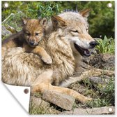 Posters de jardin Loup - Cub - Animal - 50x50 cm - Toile de jardin - Affiche extérieure