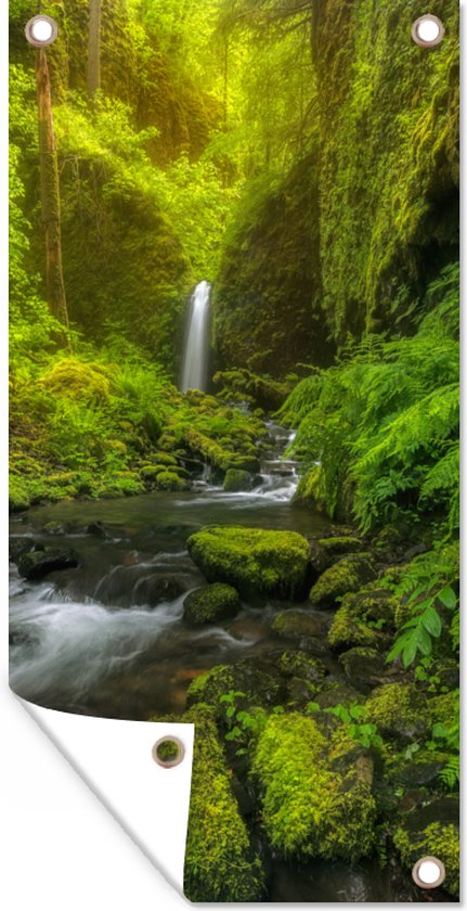 Schuttingposter Prachtig Plaatje Jungle 100x200 Cm Tuindoek Bol Schuttingposter Prachtig Plaatje Jungle 100x200 Cm Tuindoek Bol