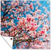 Tuinposters Lente - Sakura - Roze - 50x50 cm - Tuindoek - Buitenposter