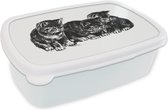 Broodtrommel Wit - Lunchbox - Brooddoos - Retro - Kat - Dieren - 18x12x6 cm - Volwassenen