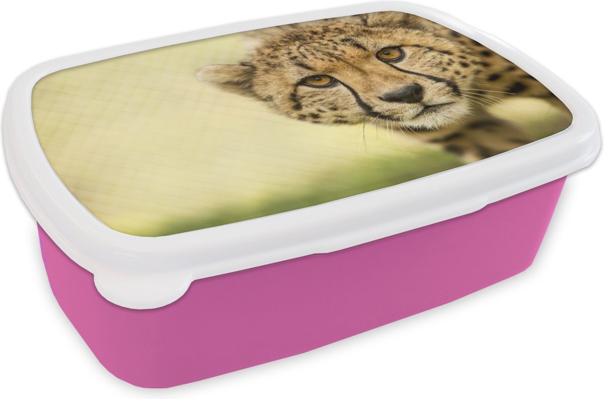 Broodtrommel Roze - Lunchbox - Brooddoos - Luipaard - Cheeta - Dier - 18x12x6 cm - Kinderen - Meisje