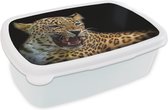 Broodtrommel Wit - Lunchbox - Brooddoos - Luipaard - Dieren - Zwart - 18x12x6 cm - Volwassenen
