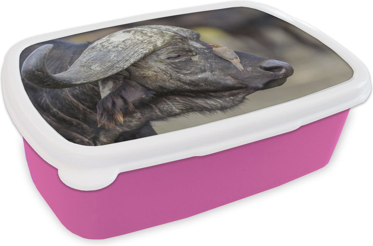 Broodtrommel Roze - Lunchbox - Brooddoos - Buffel - Vogel - Dieren - 18x12x6 cm - Kinderen - Meisje