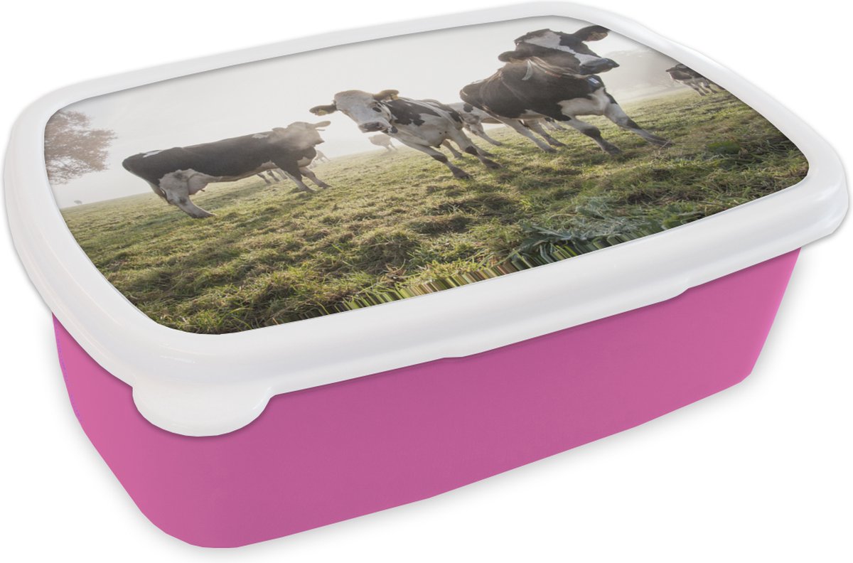 Broodtrommel Roze - Lunchbox - Brooddoos - Koe - Gras - Mist - 18x12x6 cm - Kinderen - Meisje