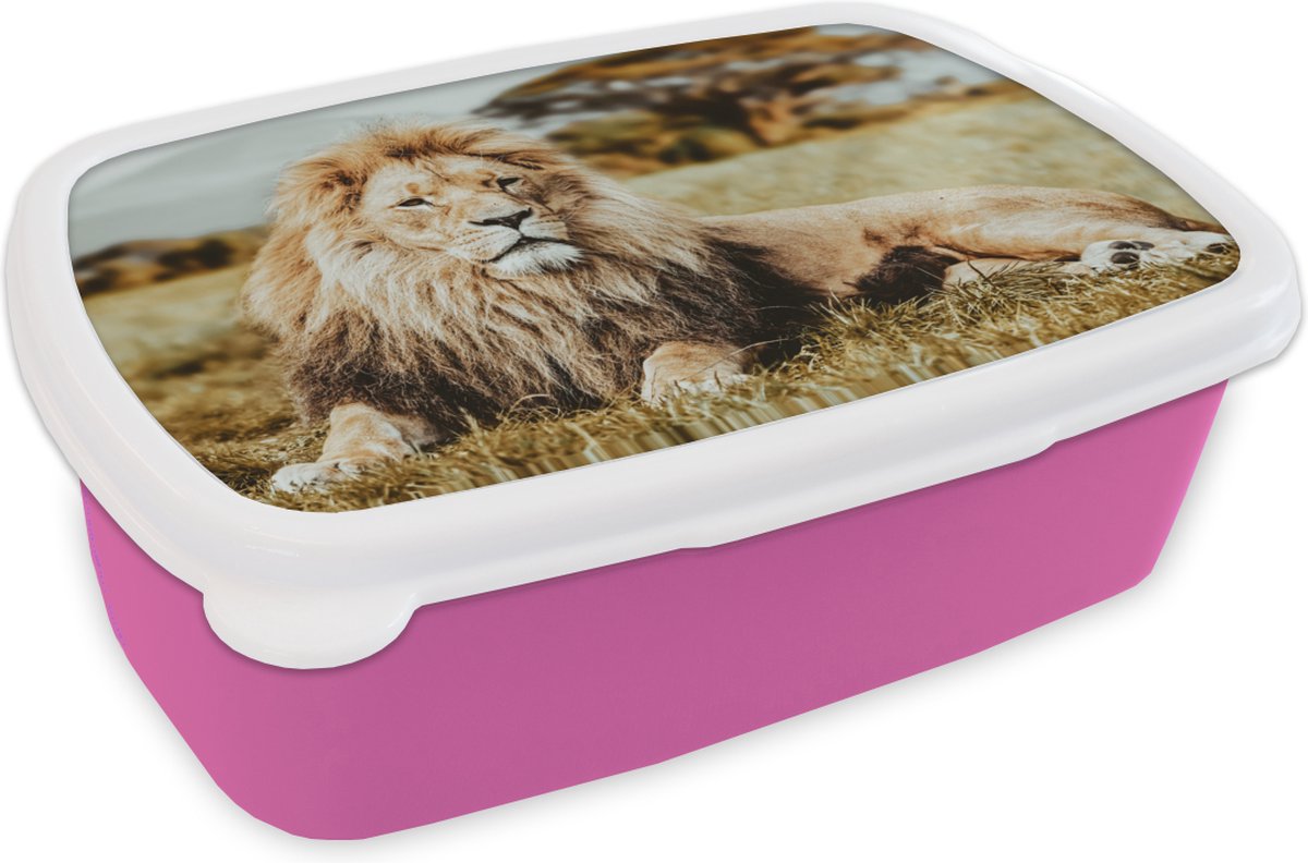 Broodtrommel Roze - Lunchbox - Brooddoos - Leeuwen - Wild - Afrika - 18x12x6 cm - Kinderen - Meisje