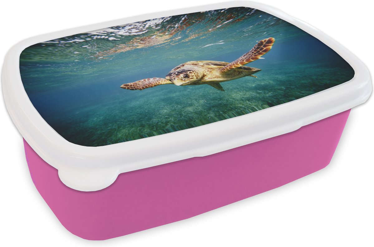 Broodtrommel Roze - Lunchbox - Brooddoos - Schildpad - Water - Blauw - 18x12x6 cm - Kinderen - Meisje