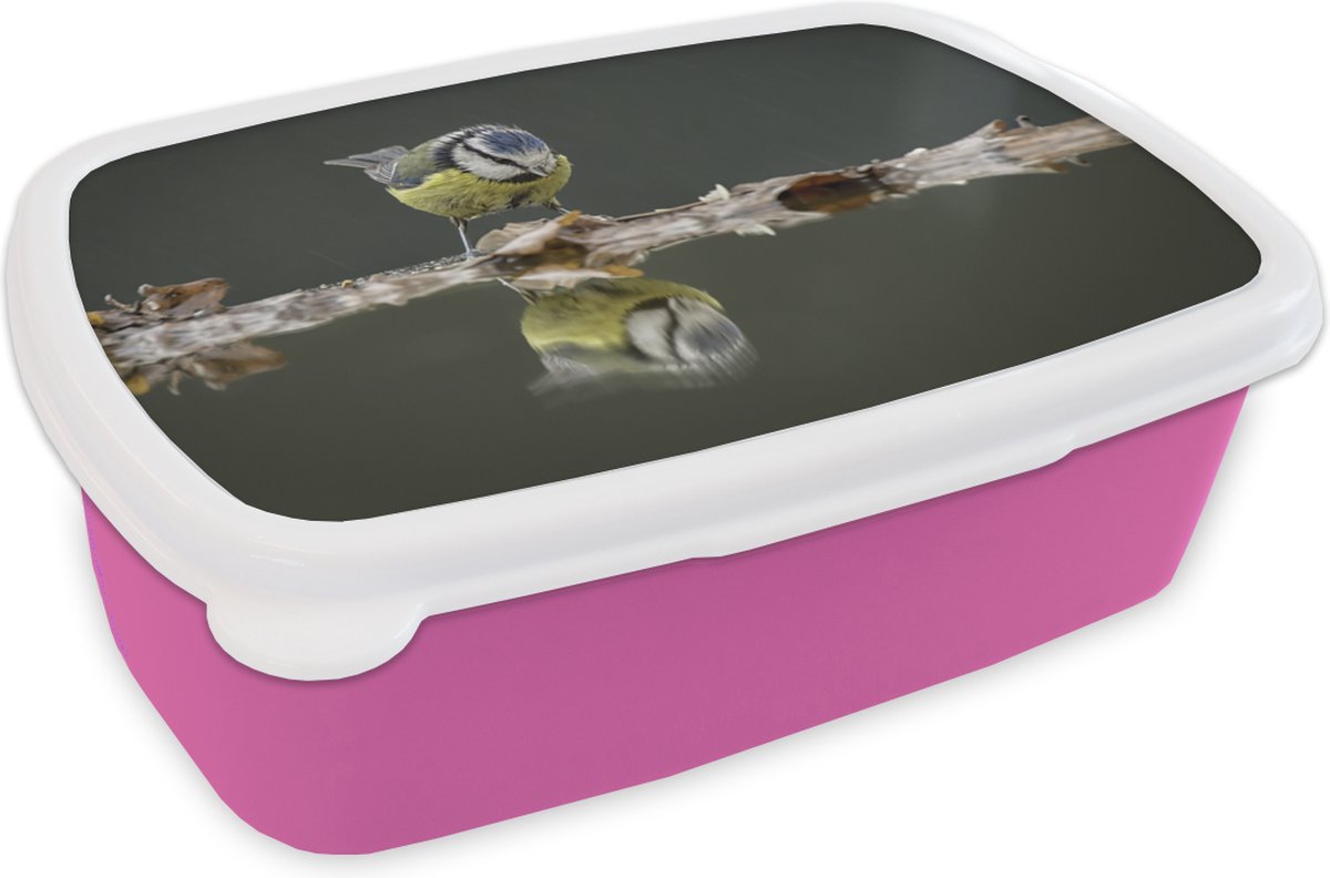 Broodtrommel Roze - Lunchbox - Brooddoos - Vogel - Water - Reflectie - 18x12x6 cm - Kinderen - Meisje