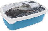 Broodtrommel Blauw - Lunchbox - Brooddoos - Zeehond - Sneeuw - Strand - 18x12x6 cm - Kinderen - Jongen