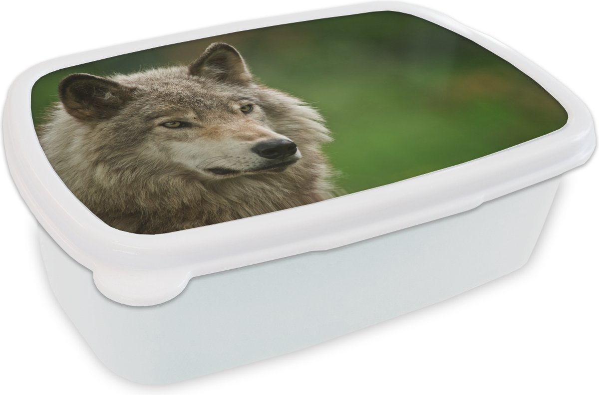 Broodtrommel Wit - Lunchbox - Brooddoos - Wolf - Grijs - Vacht - 18x12x6 cm - Volwassenen