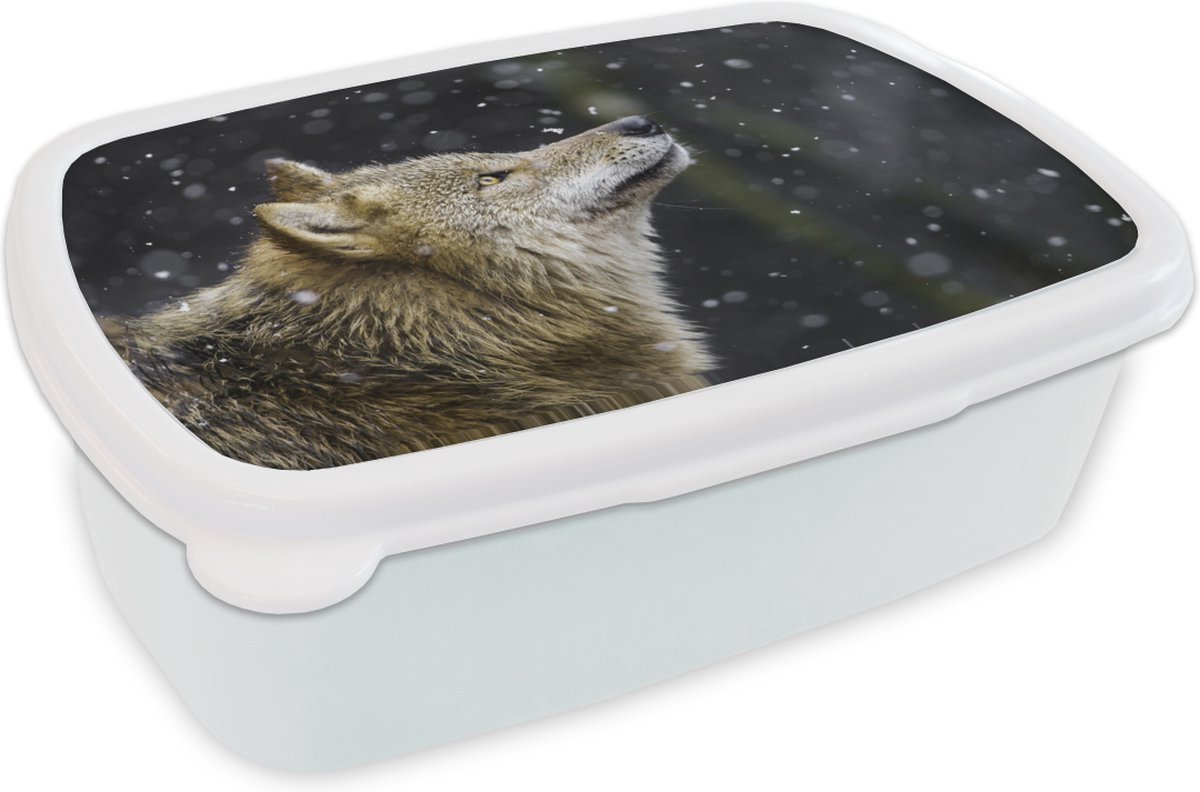 Broodtrommel Wit - Lunchbox - Brooddoos - Wolf - Sneeuw - Bruin - 18x12x6 cm - Volwassenen